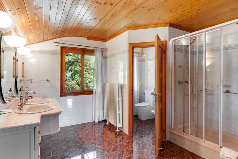 Salle de douche en suite avec WC