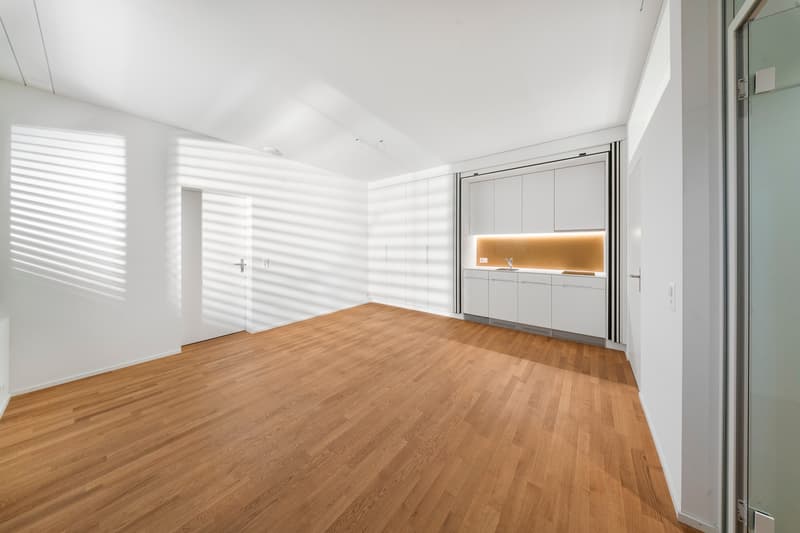 Maison de terrasse exclusive avec piscine, ascenseur et appartement indépendant à Riehen (10)