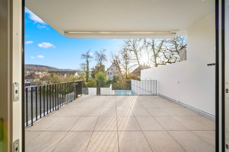 Maison de terrasse exclusive avec piscine, ascenseur et appartement indépendant à Riehen (8)