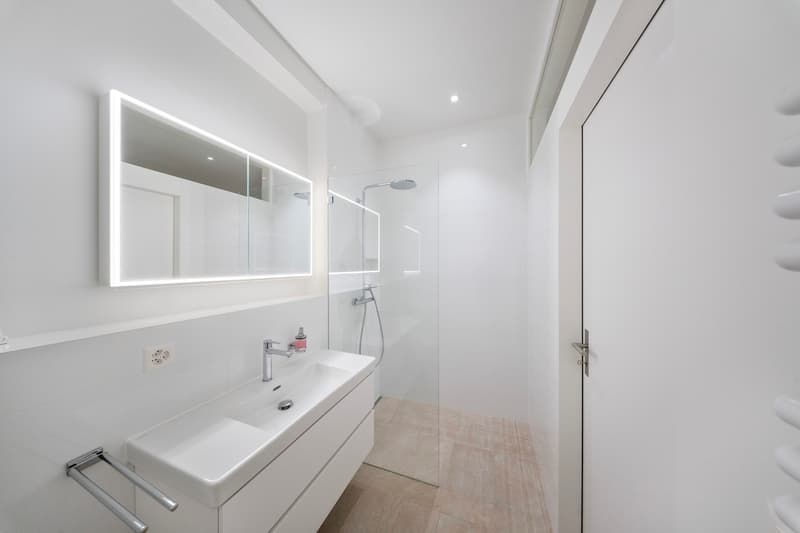 Maison de terrasse exclusive avec piscine, ascenseur et appartement indépendant à Riehen (11)