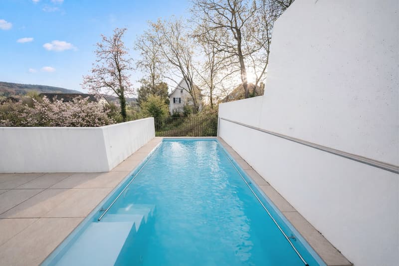 Maison de terrasse exclusive avec piscine, ascenseur et appartement indépendant à Riehen (9)