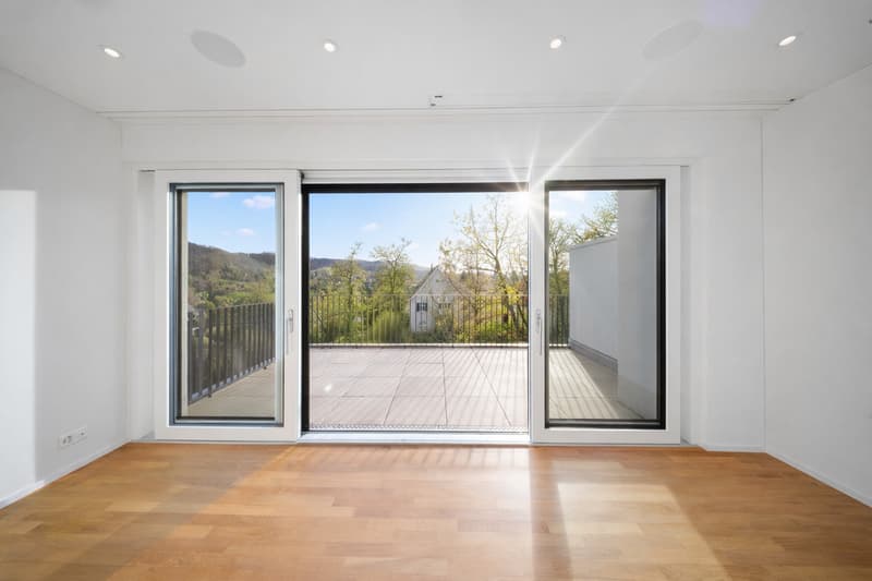 Maison de terrasse exclusive avec piscine, ascenseur et appartement indépendant à Riehen (6)