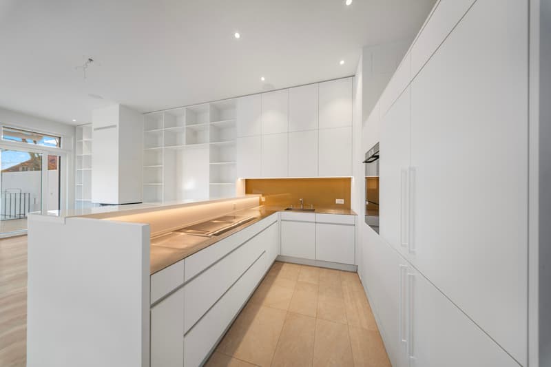 Maison de terrasse exclusive avec piscine, ascenseur et appartement indépendant à Riehen (4)