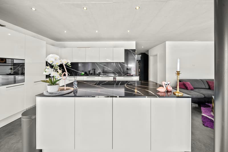 Spacious single-family house with many possibilities in Möhlin (4)
