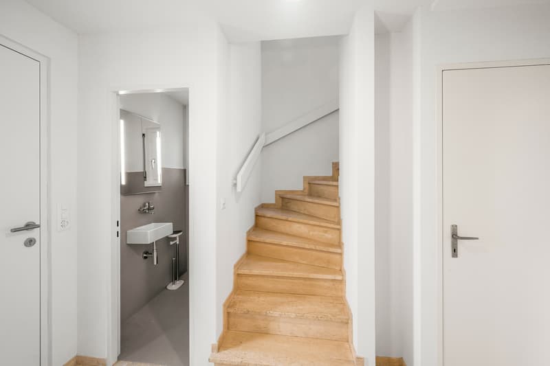 Casa sul Bruderholz - Giardino, pace e sicurezza (3)