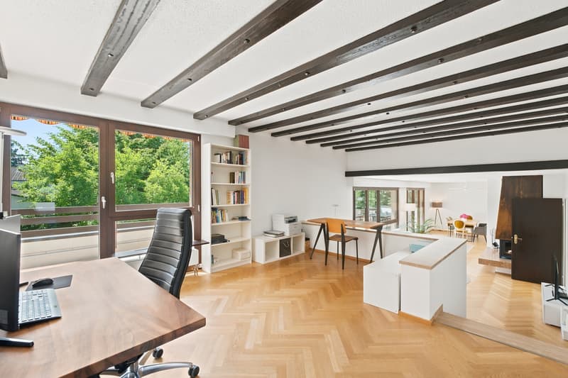Vaste appartement en attique de 4,5 pièces - vivre au-dessus des cimes des arbres (6)