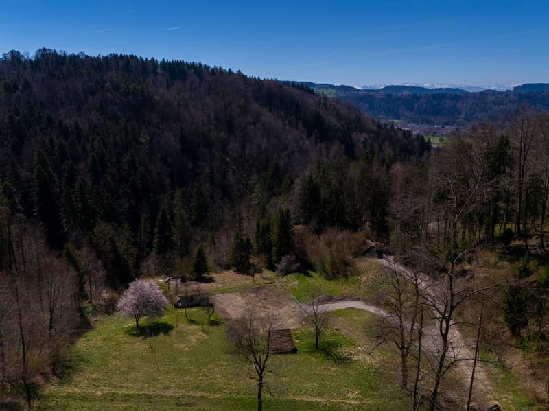 NOBILES NATURJUWEL: 5,15 ha ANWESEN 100% AUTARK bewilligtes Bauprojekt, Wiese / Wald / Bach / Teich (35)