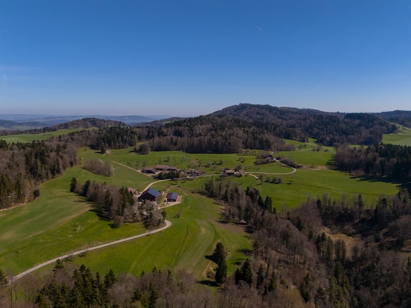 NOBILES NATURJUWEL: 5,15 ha ANWESEN 100% AUTARK bewilligtes Bauprojekt, Wiese / Wald / Bach / Teich (32)