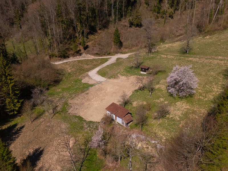 NOBILES NATURJUWEL: 5,15 ha ANWESEN 100% AUTARK bewilligtes Bauprojekt, Wiese / Wald / Bach / Teich (24)