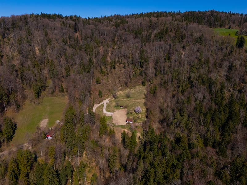 NOBILES NATURJUWEL: 5,15 ha ANWESEN 100% AUTARK bewilligtes Bauprojekt, Wiese / Wald / Bach / Teich (31)