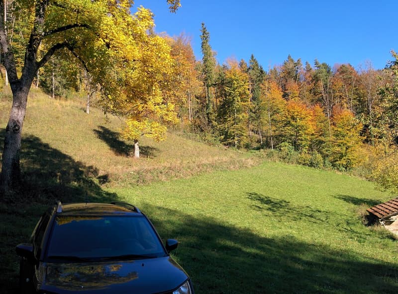 NOBILES NATURJUWEL: 5,15 ha ANWESEN 100% AUTARK bewilligtes Bauprojekt, Wiese / Wald / Bach / Teich (23)