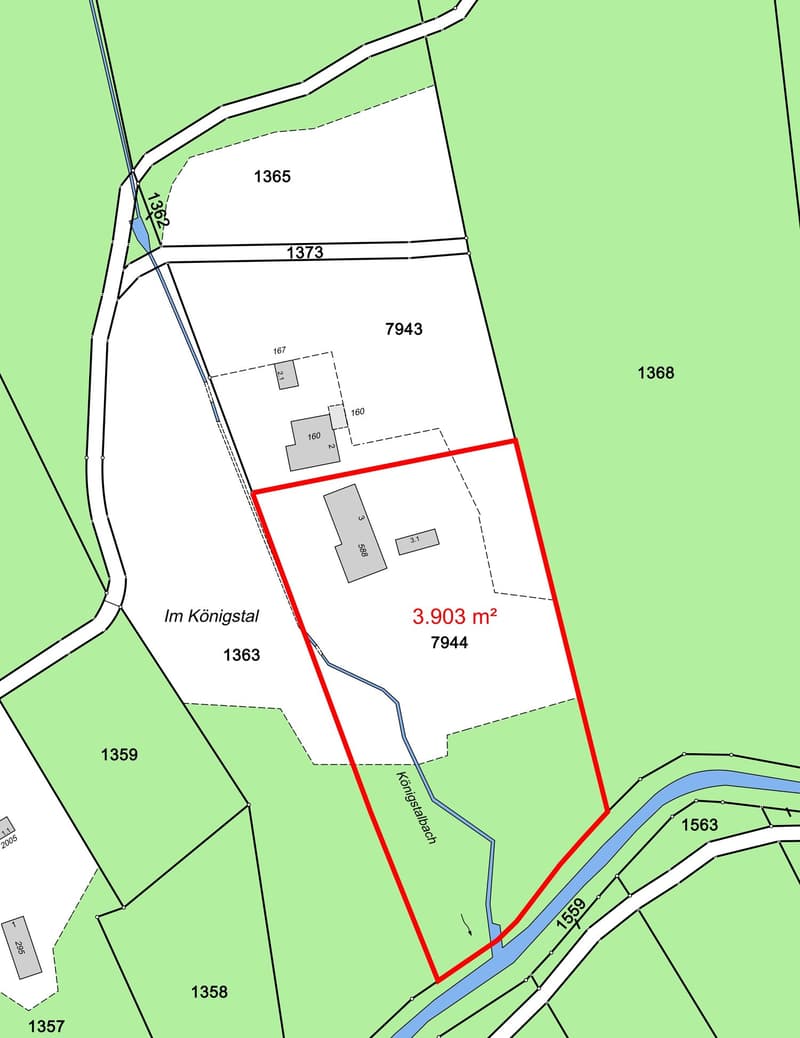NATURJUWEL: 3'903 m² Wiese, mit 1 bewilligtem Haus & Kleintierstall, 100% autark, Natur Waldlichtung (7)