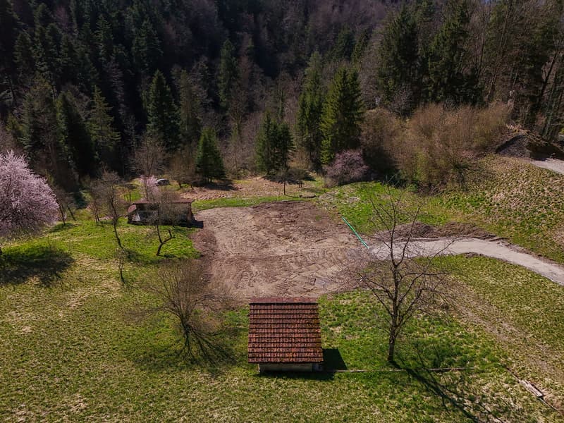 NATURJUWEL: 3'903 m² Wiese, mit 1 bewilligtem Haus & Kleintierstall, 100% autark, Natur Waldlichtung (20)