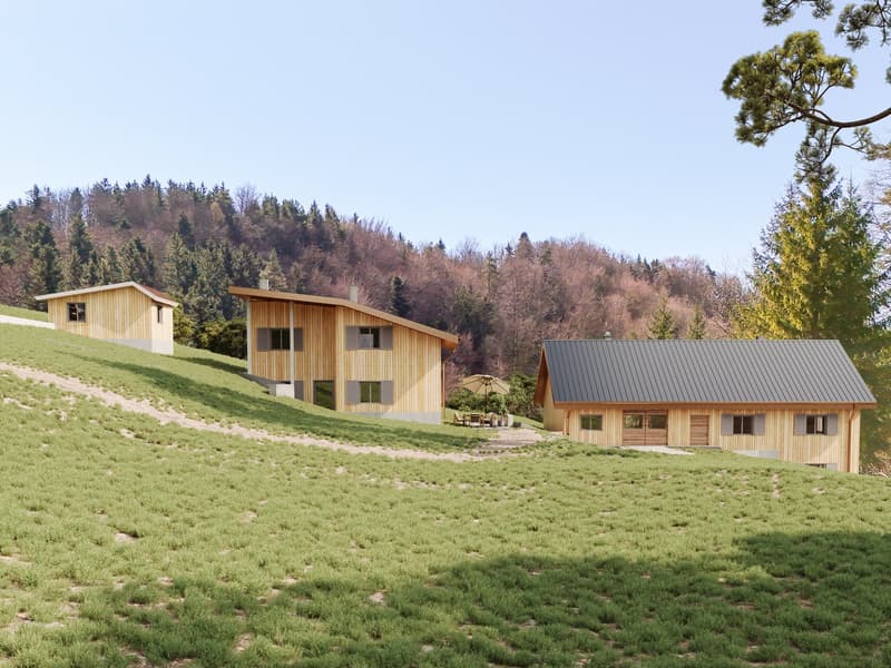 NATURJUWEL: 3'903 m² Wiese, mit 1 bewilligtem Haus & Kleintierstall, 100% autark, Natur Waldlichtung (4)