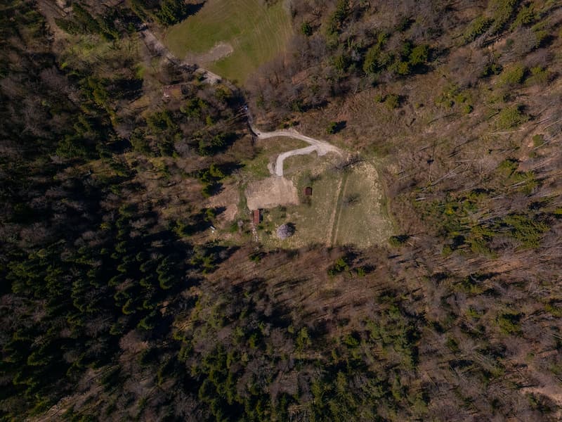 NATURJUWEL: 3'903 m² Wiese, mit 1 bewilligtem Haus & Kleintierstall, 100% autark, Natur Waldlichtung (24)