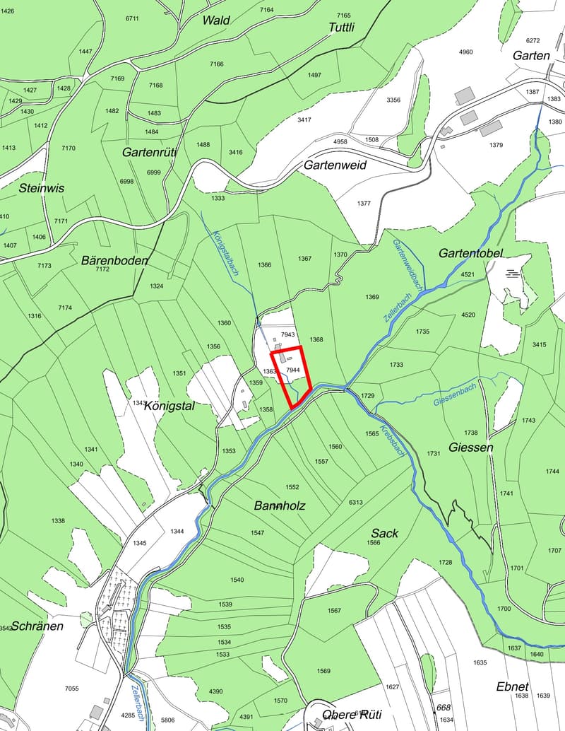 NATURJUWEL: 3'903 m² Wiese, mit 1 bewilligtem Haus & Kleintierstall, 100% autark, Natur Waldlichtung (6)