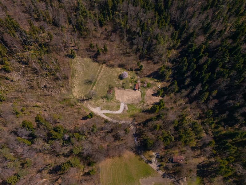 NATURJUWEL: 3'903 m² Wiese, mit 1 bewilligtem Haus & Kleintierstall, 100% autark, Natur Waldlichtung (25)