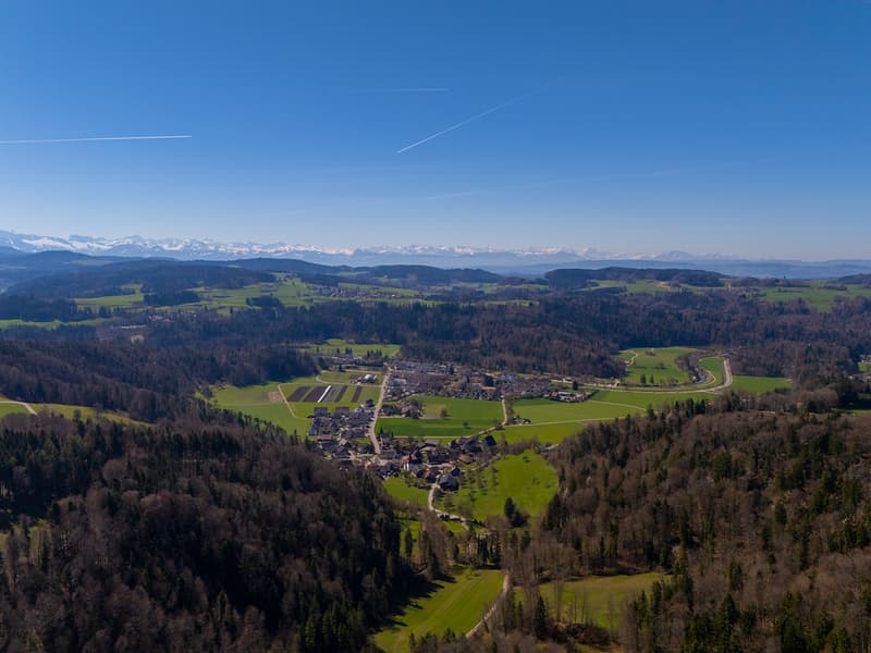 NATURJUWEL: 3'903 m² Wiese, mit 1 bewilligtem Haus & Kleintierstall, 100% autark, Natur Waldlichtung (29)