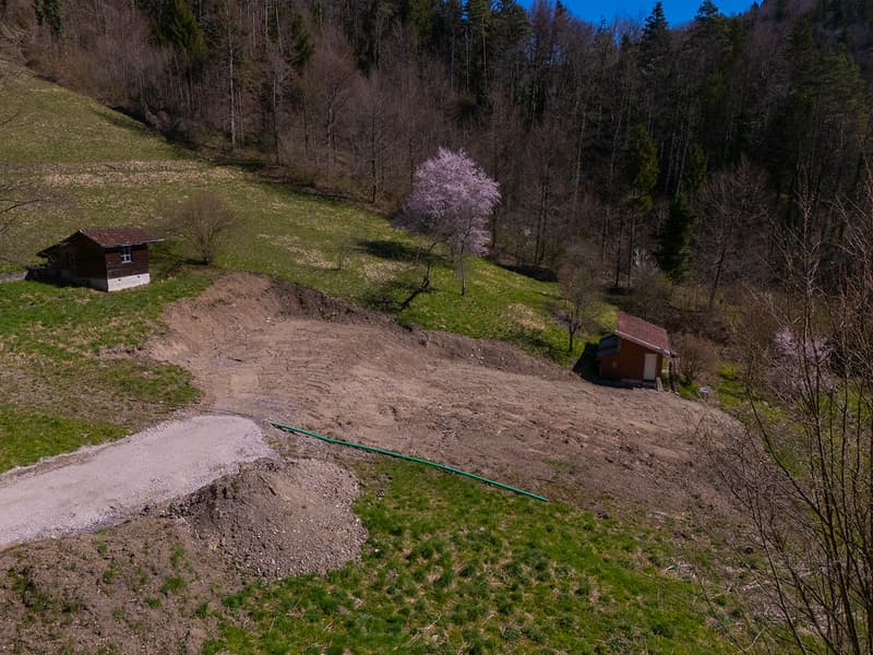 NATURJUWEL: 3'903 m² Wiese, mit 1 bewilligtem Haus & Kleintierstall, 100% autark, Natur Waldlichtung (22)
