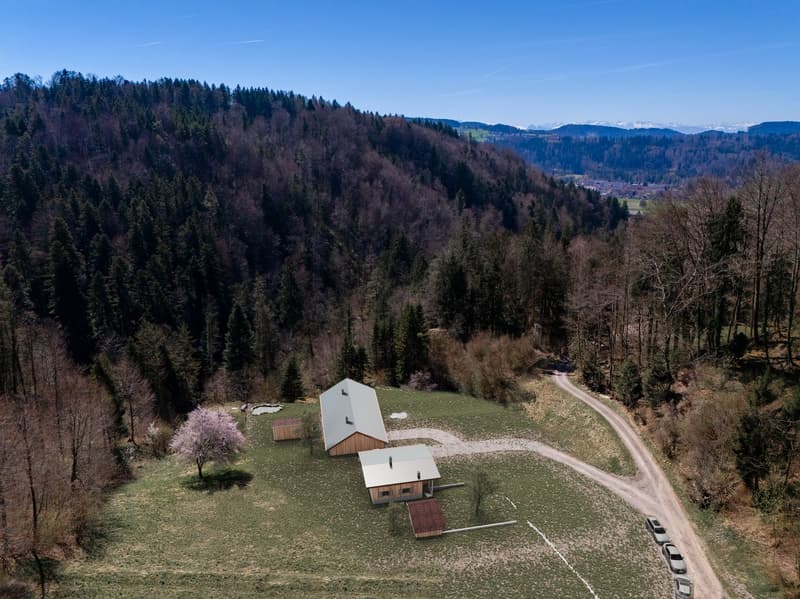 NATURJUWEL: 3'903 m² Wiese, mit 1 bewilligtem Haus & Kleintierstall, 100% autark, Natur Waldlichtung (2)