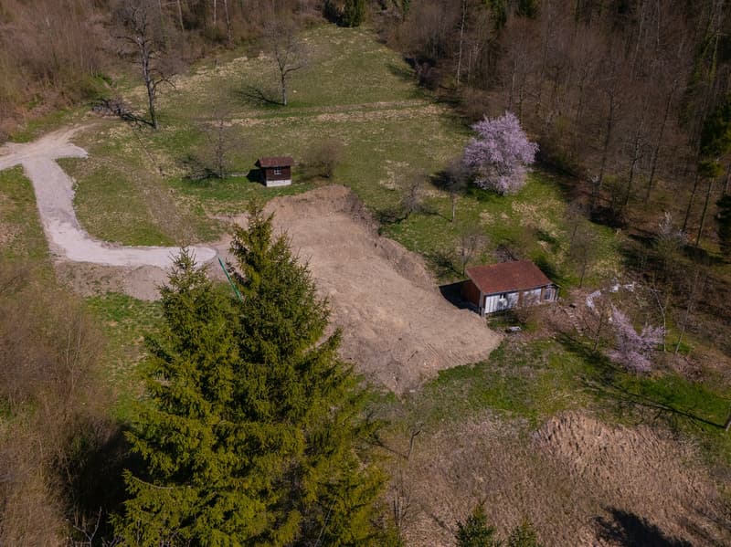 NATURJUWEL: 3'903 m² Wiese, mit 1 bewilligtem Haus & Kleintierstall, 100% autark, Natur Waldlichtung (19)