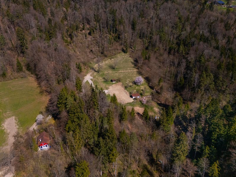 NATURJUWEL: 3'903 m² Wiese, mit 1 bewilligtem Haus & Kleintierstall, 100% autark, Natur Waldlichtung (23)
