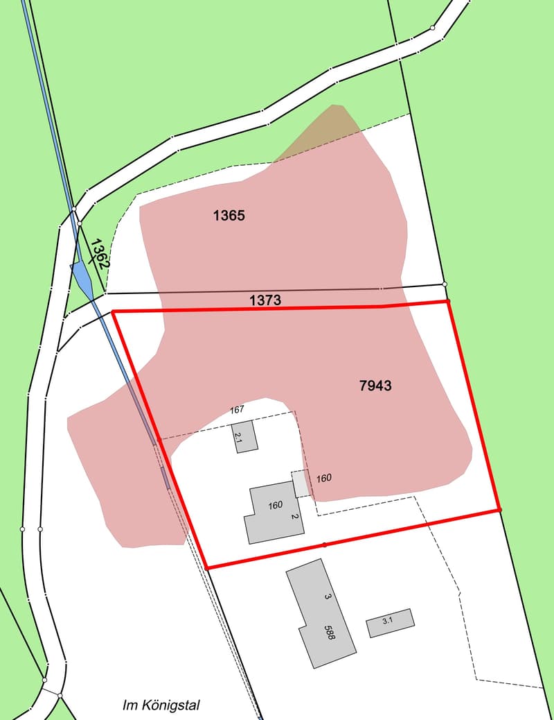 NATURJUWEL: 2'136m² Wiese, mit 1 bewilligtem Haus, 100% autark, Natur pur Waldlichtung (8)