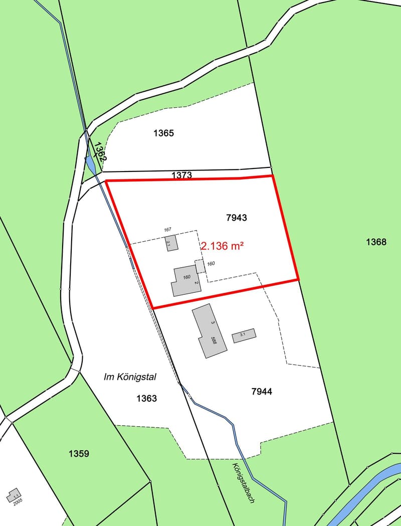 NATURJUWEL: 2'136m² Wiese, mit 1 bewilligtem Haus, 100% autark, Natur pur Waldlichtung (7)