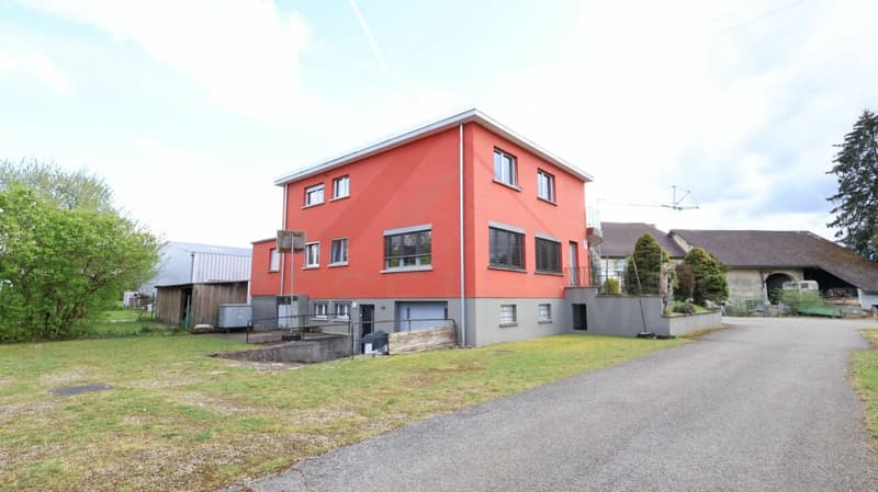 Residential and commercial property in Fahy (JU) - charm and potential for living and working in the same place (29)