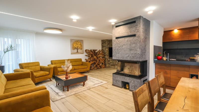Exceptional contemporary villa - 4½ rooms, heated pool and panoramic terrace (2)