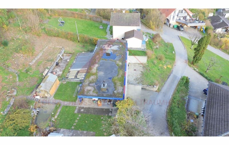 Einmalige Gelegenheit in Oensingen - Bauland mit Bestandshaus am Waldrand und Alpenpanorama (4)