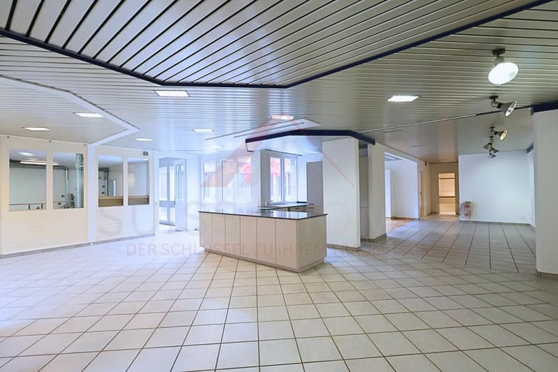 Wohnen und Arbeiten vereint - Atriumgebäude mit 220 m² Wohn- und 270 m² Gewerbefläche in Thörishaus (9)