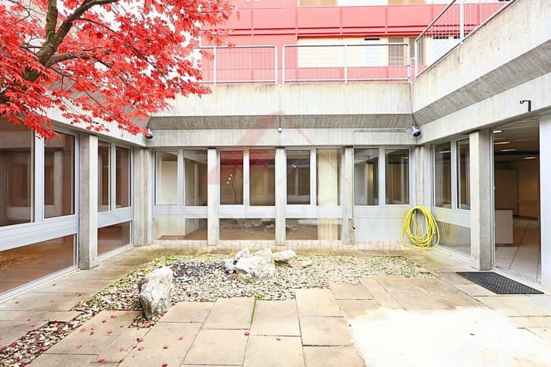 Wohnen und Arbeiten vereint - Atriumgebäude mit 220 m² Wohn- und 270 m² Gewerbefläche in Thörishaus (19)