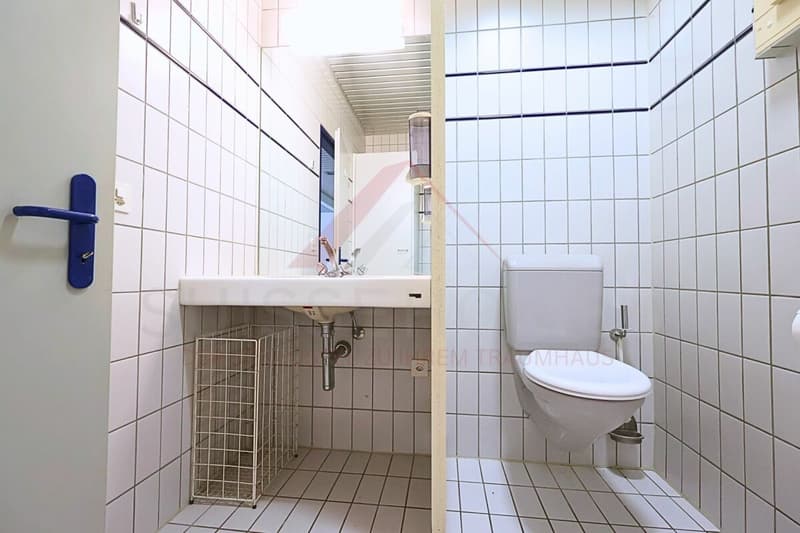 Wohnen und Arbeiten vereint - Atriumgebäude mit 220 m² Wohn- und 270 m² Gewerbefläche in Thörishaus (14)