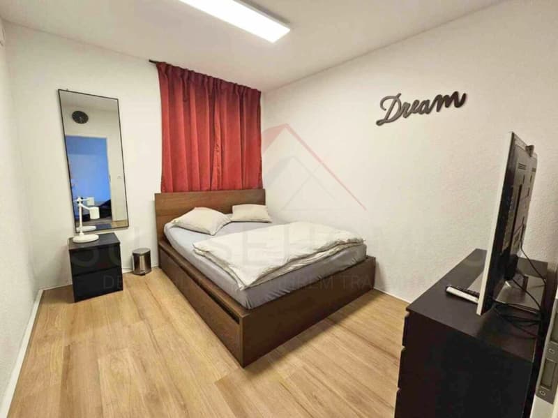 Helles 1.5-Zimmer-Studio mit ca. 60 m² Wohnfläche, Balkon und Lift in Lostorf (1)