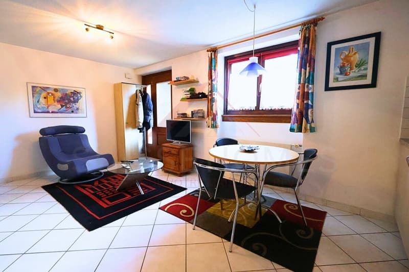 Porrentruy - Beautiful spacious villa with pool, jacuzzi, and independent accommodation (22)