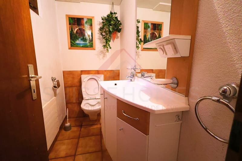 Porrentruy - Beautiful spacious villa with pool, jacuzzi, and independent accommodation (25)