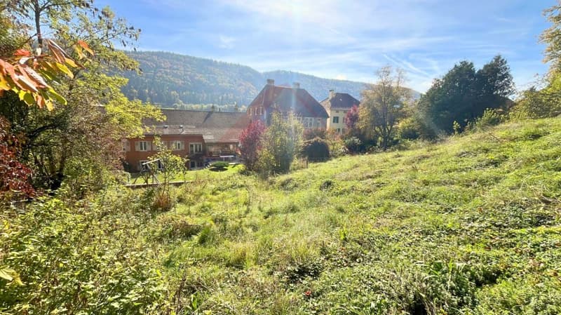Sonvilier - Terrain constructible idéal pour villas ou maisons mitoyennes dans un cadre calme (3)