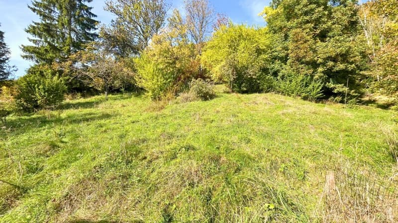 Sonvilier - Terrain constructible idéal pour villas ou maisons mitoyennes dans un cadre calme (5)