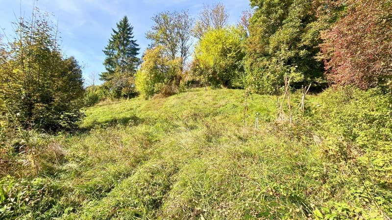 Sonvilier - Terrain constructible idéal pour villas ou maisons mitoyennes dans un cadre calme (4)
