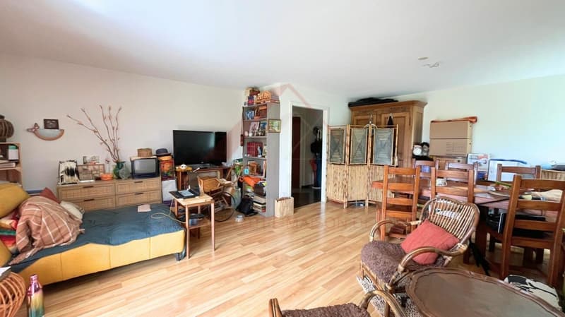 3.5-Room Apartment with Loggia and Valley View in Le Locle (3)