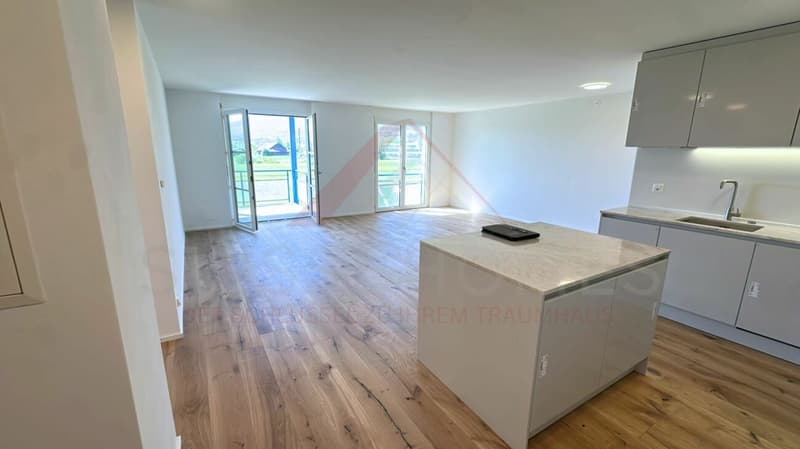 Welcome to your new home - stylishly renovated on the green outskirts of Solothurn (1)