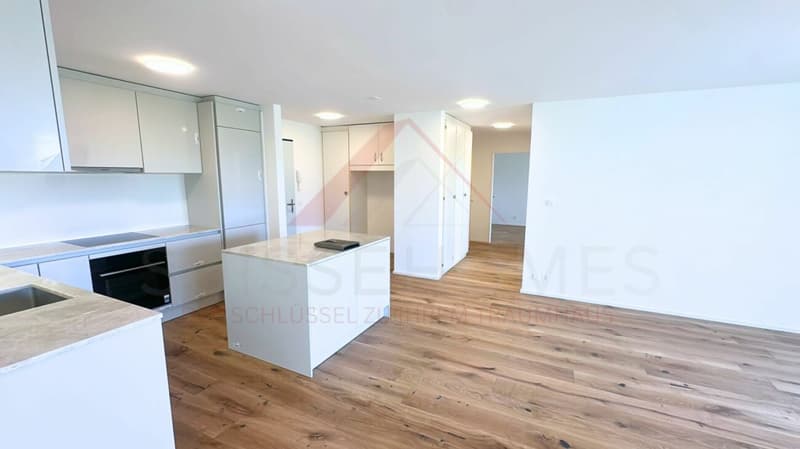 Welcome to your new home - stylishly renovated on the green outskirts of Solothurn (3)