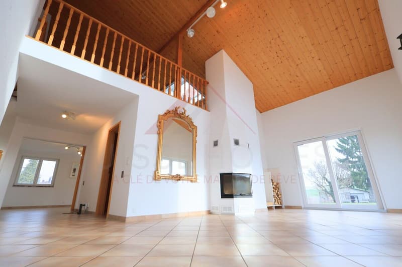 Exceptional family home with pool, sauna, and large garden in La Brillaz (5)