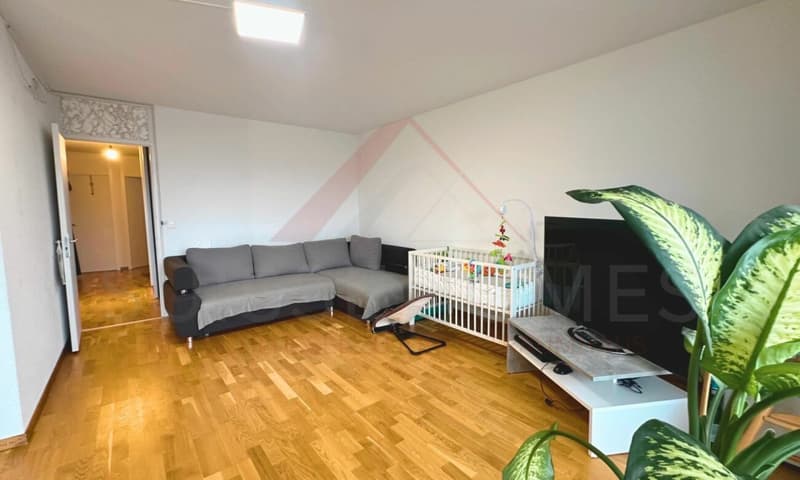 Bright, modern, and quiet: 3.5-room apartment with a great view in Burgdorf (2)