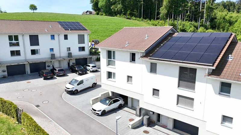 Brand new 5.5-room row house with pool and spacious plot (1)