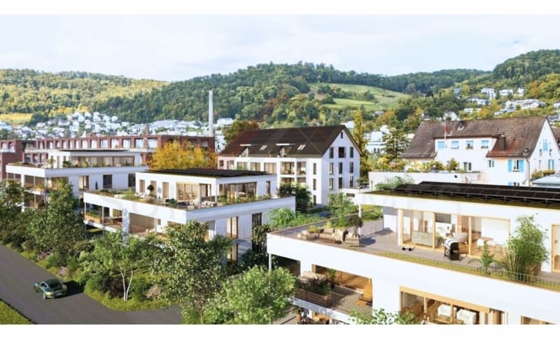 Exklusive 4.5-Zimmer-Neubauwohnung in Döttingen - letzte verfügbare Einheit (3)