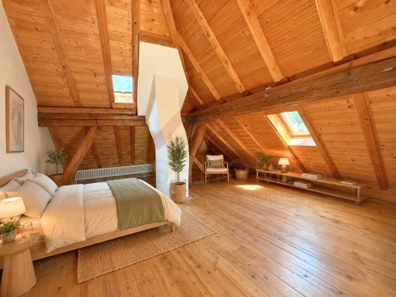 Attic Apartment with 3 Rooms, Charm and Beautiful Volumes in the Heart of Romainmôtier (2)
