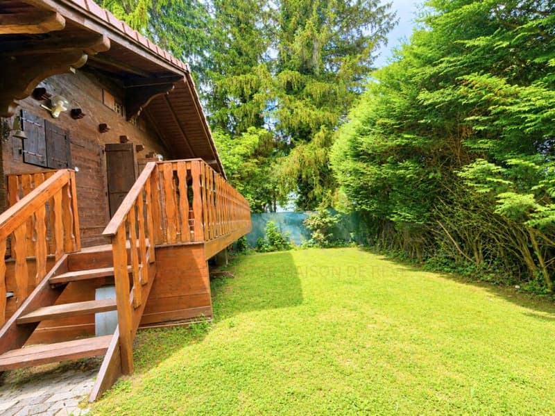 Rara opportunità - Chalet completamente ristrutturato in vendita a Losanna (6)