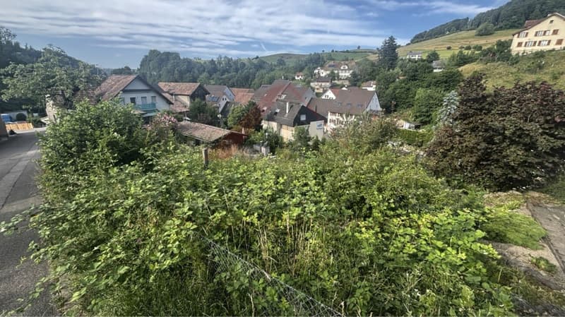 Your dream of a compact home in Baselbiet: Sunny building land parcel (7)